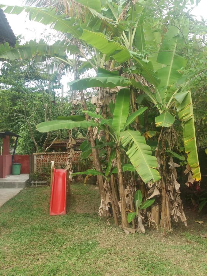 Lepá com Cozinha privativa Vila Boicucanga Exterior foto